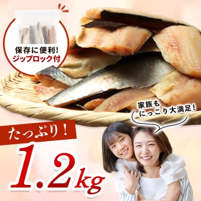 【ワケあり】特大 “生冷” 春にしんフィレ1.2kg 6ヶ月定期便【20047】
