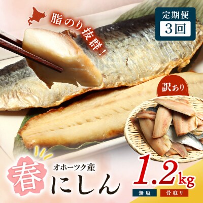 【ワケあり】特大 “生冷” 春にしんフィレ1.2kg 3ヶ月定期便【20046】