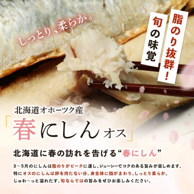 ワケありお魚セット ホッケフィレ1.2kg & 春にしんフィレ1.2kg 6ヶ月定期便【20045】