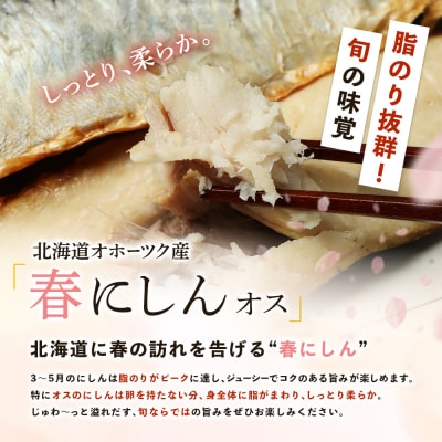 ワケありお魚セット ホッケフィレ1.2kg & 春にしんフィレ1.2kg 3ヶ月定期便【20044】