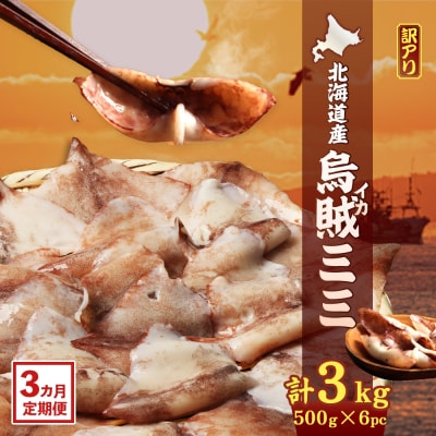 【ワケあり】イカミミ3kg (500g×6袋) 3ヶ月定期便【20052】