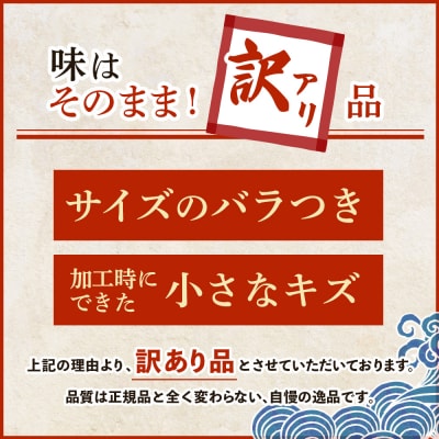 【ワケあり】北海道産 "生冷"ホッケフィレ2.4kg 6ヶ月定期便【20032】