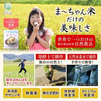 先行受付 新米 ササニシキ 白米 18kg ま〜ちゃん米 令和7年産米 自然農法【053S003】