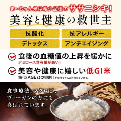 先行受付 新米 ササニシキ 白米 18kg ま〜ちゃん米 令和7年産米 自然農法【053S003】
