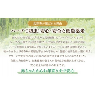 【先行受付】令和7年産 妹背牛産米【北彩香(ゆめぴりか)】白米10kg(2025年12月発送)