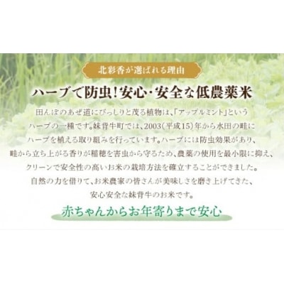 【先行受付】令和7年産 妹背牛産米【北彩香(ゆめぴりか)】白米10kg(2026年1月発送)