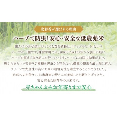 【先行受付】(2026年2月発送)令和7年産 妹背牛産【プレミアム北彩香(ななつぼし)】白米20kg