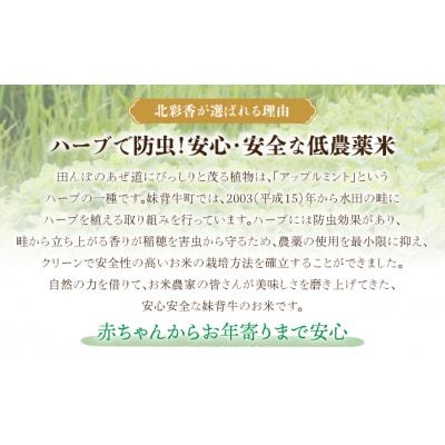 【先行受付】令和7年産妹背牛産ゆめぴりかVSプレミアムななつぼし特A食べ比べ20kg(令和8年2月)