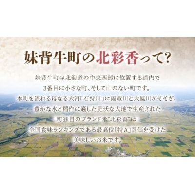 【先行受付】(2026年4月発送)　令和7年産 妹背牛産米【北彩香(ゆめぴりか)】白米10kg