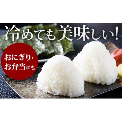 【先行受付】令和7年産 妹背牛産【プレミアム北彩香(ななつぼし)】白米10kg(2026年4月発送)