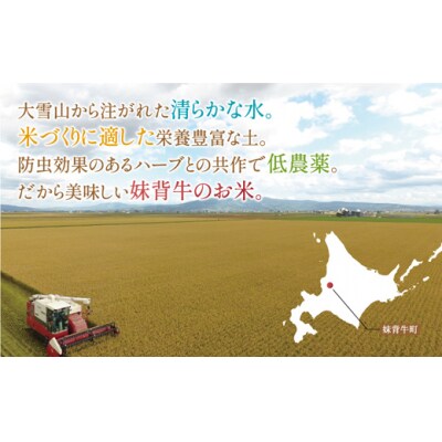 【先行受付】令和8年産 妹背牛産【プレミアム北彩香(ななつぼし)】白米10kg(2026年12月発送