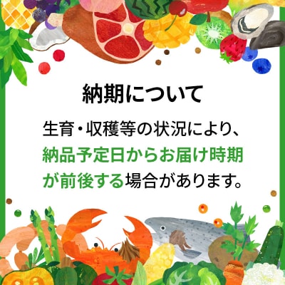 五ツ星お米マイスターの太鼓判!あきたこまち 5kg 令和6年産|15_hss-010501
