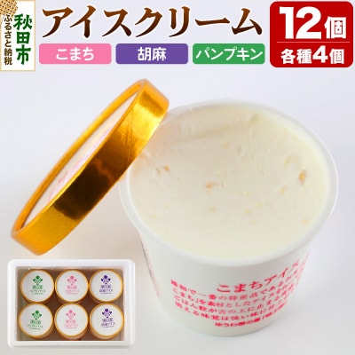 アイスクリーム詰め合わせ(120ml×12個入り)|15_ysk-010201
