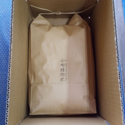 米 こまち故郷米 あきたこまち 5kg ×1袋 白米 令和8年産|15_kjd-010501