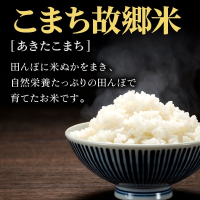 米 こまち故郷米 あきたこまち 10kg  白米 令和7年産 新米|15_kjd-011001