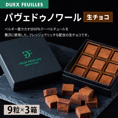 【 生チョコ 】パヴェドゥノワール 9粒×3箱セット|15_pdf-030301