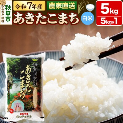 米 あきたこまち 5kg 令和7年産 白米 田口商店|15_tgs-010501