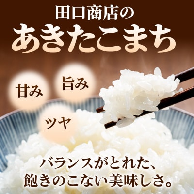 米 あきたこまち 10kg 令和7年産 新米 白米 田口商店|15_tgs-011001
