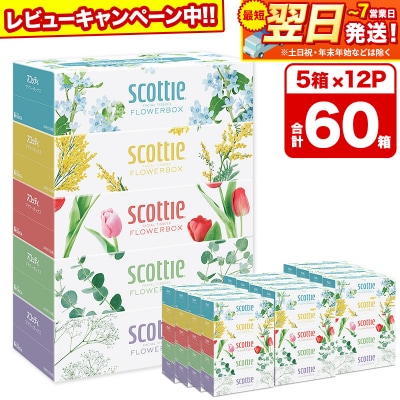 ティッシュ スコッティ フラワーボックス 250組 5箱×12パック|15_nsc-071201