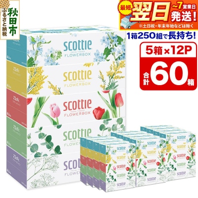 ティッシュ スコッティ フラワーボックス 250組 5箱×12パック|15_nsc-071201