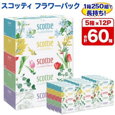 ティッシュ スコッティ フラワーボックス 250組 5箱×12パック|15_nsc-071201