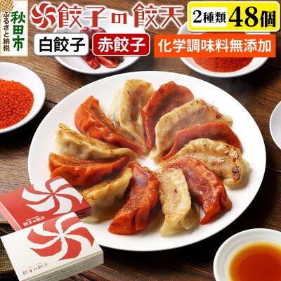 【至福の白餃子・情熱の赤餃子48個詰合せ】餃子の餃天|15_ggt-054801
