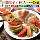 【4種餃子48個詰合せ】餃子の餃天|15_ggt-024801