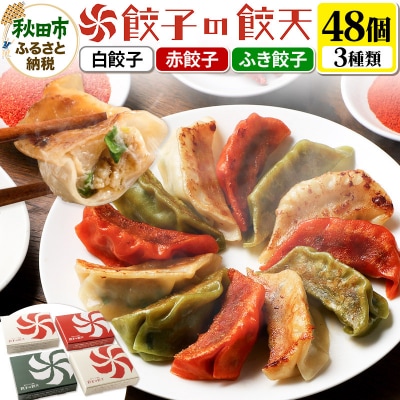 【3種餃子48個詰合せ】餃子の餃天 白餃子、赤餃子、ふき餃子|15_ggt-014801