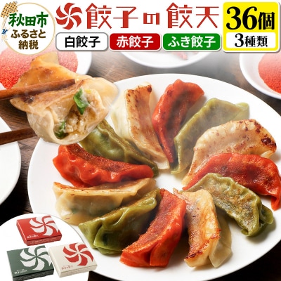 【3種餃子36個詰合せ】餃子の餃天 白餃子、赤餃子、ふき餃子|15_ggt-013601