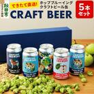 【できたて直送】クラフトビール缶 5本セット　ホップドッグブルーイング|15_hdb-010101