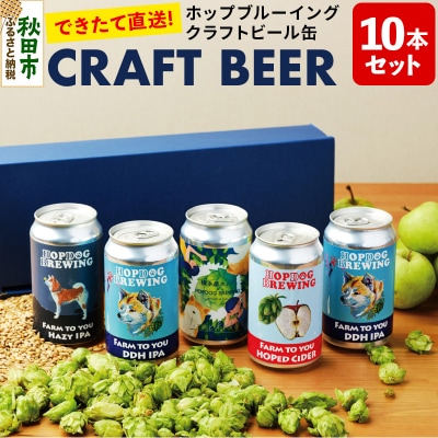 【できたて直送】クラフトビール缶 10本セット　ホップドッグブルーイング|15_hdb-010201
