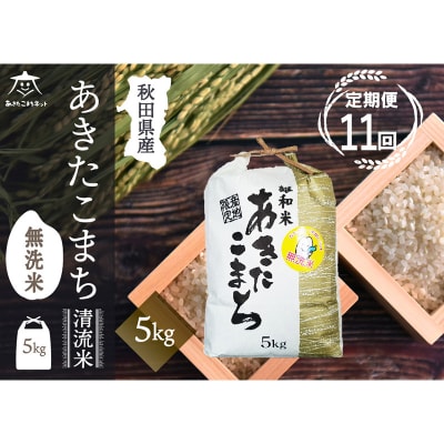 《定期便11ヶ月》秋田市雄和産あきたこまち 清流米 5kg 【無洗米】|15_akn-dd0511m