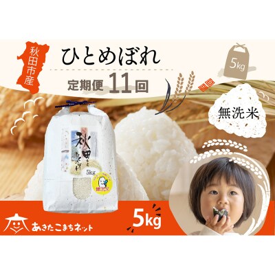 《定期便11ヶ月》秋田市産ひとめぼれ 5kg 【無洗米】|15_akn-gg0511m