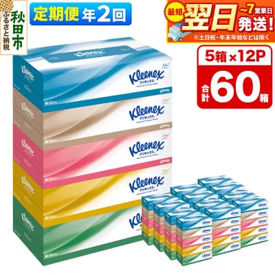 《2回定期便》クリネックス ティシュー 60箱 ティッシュ|15_nsc-031202