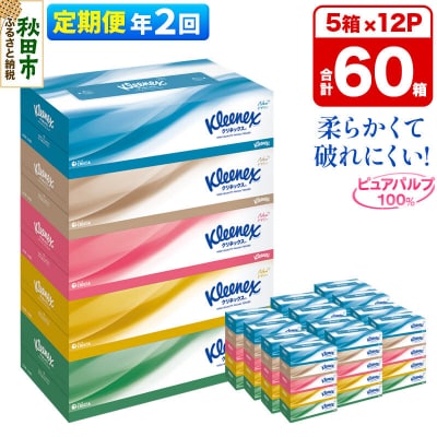 《2回定期便》クリネックス ティシュー 60箱 ティッシュ|15_nsc-031202