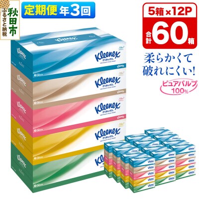 《3回定期便》クリネックス ティシュー 60箱 ティッシュ|15_nsc-031203