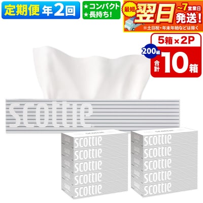 《2回定期便》ティッシュペーパー スコッティ10箱 5箱×2P|15_nsc-050202