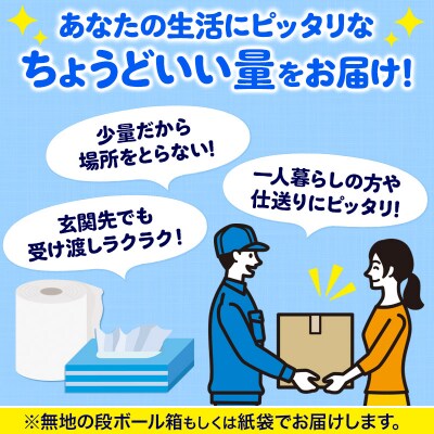 《2回定期便》ティッシュペーパー スコッティ10箱 5箱×2P|15_nsc-050202