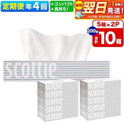 《4回定期便》ティッシュペーパー スコッティ10箱 5箱×2P|15_nsc-050204