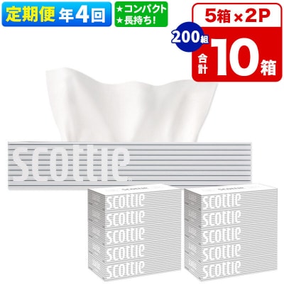 《4回定期便》ティッシュペーパー スコッティ10箱 5箱×2P|15_nsc-050204