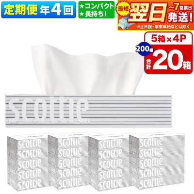 《4回定期便》ティッシュペーパー スコッティ 20箱 5箱×4P|15_nsc-050404