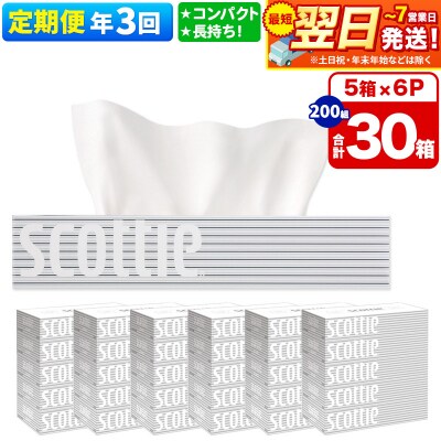 《3回定期便》ティッシュペーパー スコッティ 30箱 5箱×6P|15_nsc-050603