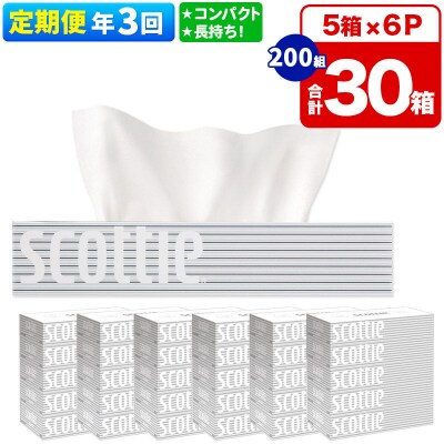 《3回定期便》ティッシュペーパー スコッティ 30箱 5箱×6P|15_nsc-050603