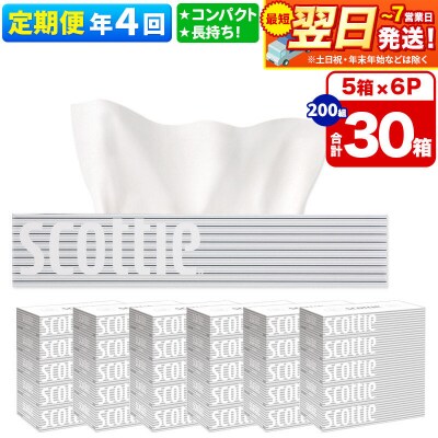 《4回定期便》ティッシュペーパー スコッティ 30箱 5箱×6P|15_nsc-050604