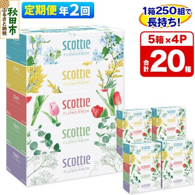 《2回定期便》ティッシュ フラワーボックス 20箱 5箱×4P|15_nsc-070402