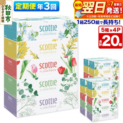 《3回定期便》ティッシュ フラワーボックス 20箱 5箱×4P|15_nsc-070403