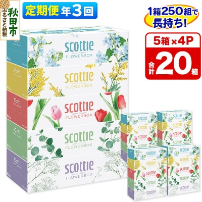 《3回定期便》ティッシュ フラワーボックス 20箱 5箱×4P|15_nsc-070403