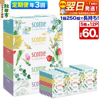 《3回定期便》ティッシュ フラワーボックス 60箱 5箱×12P|15_nsc-071203