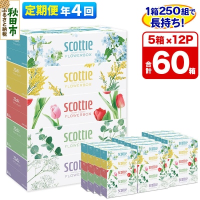 《4回定期便》ティッシュ フラワーボックス 60箱 5箱×12P|15_nsc-071204