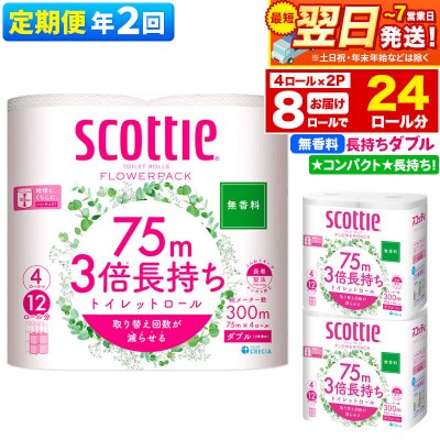 《2回定期便》トイレットペーパー 3倍長持ち 8個 ダブル|15_nsc-100202db